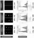 Fig. 12 - METHODS AND SYSTEMS FOR TARGET SCREENING