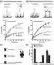 Fig. 01 - KINETICALLY PROGRAMMED SYSTEMS AND REACTIONS FOR MOLECULAR DETECTION