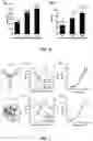 Fig. 06 - KINETICALLY PROGRAMMED SYSTEMS AND REACTIONS FOR MOLECULAR DETECTION