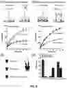 Fig. 07 - KINETICALLY PROGRAMMED SYSTEMS AND REACTIONS FOR MOLECULAR DETECTION