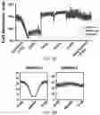 Fig. 08 - Methods for the amplification of bisulfite-treated DNA