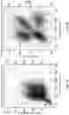 Fig. 02 - METHODS AND SYSTEMS FOR ANALYZING IMAGE DATA