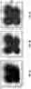 Fig. 03 - METHODS AND SYSTEMS FOR ANALYZING IMAGE DATA