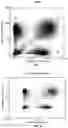 Fig. 04 - METHODS AND SYSTEMS FOR ANALYZING IMAGE DATA