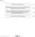 Fig. 04 - URINARY MICROBIOMIC PROFILING
