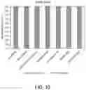 Fig. 11 - URINARY MICROBIOMIC PROFILING