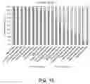 Fig. 16 - URINARY MICROBIOMIC PROFILING