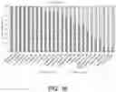 Fig. 19 - URINARY MICROBIOMIC PROFILING