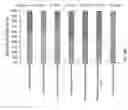 Fig. 32 - URINARY MICROBIOMIC PROFILING