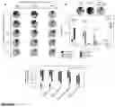 Fig. 03 - Cell-free nucleic acids for the analysis of the human microbiome and components thereof