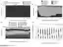 Fig. 04 - Cell-free nucleic acids for the analysis of the human microbiome and components thereof