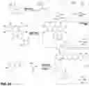Fig. 04 - Isotopically-encoded nanoparticles for multimodal high-order multiplexed detection and imaging