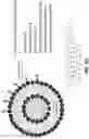 Fig. 05 - Isotopically-encoded nanoparticles for multimodal high-order multiplexed detection and imaging