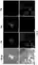 Fig. 16 - Isotopically-encoded nanoparticles for multimodal high-order multiplexed detection and imaging