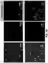 Fig. 17 - Isotopically-encoded nanoparticles for multimodal high-order multiplexed detection and imaging