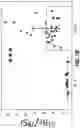 Fig. 18 - Isotopically-encoded nanoparticles for multimodal high-order multiplexed detection and imaging
