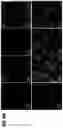 Fig. 19 - Isotopically-encoded nanoparticles for multimodal high-order multiplexed detection and imaging