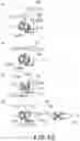 Fig. 49 - Electrophotographic image forming apparatus, developing apparatus, and coupling member