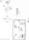 Fig. 05 - Identifying copyrighted material using embedded copyright information