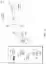 Fig. 07 - Identifying copyrighted material using embedded copyright information