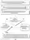 Fig. 08 - SYSTEMS AND METHODS FOR MANAGING DIGITAL MEDIA ITEMS ACCESS
