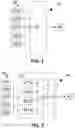 Fig. 02 - SELECTING UNLABELED DATA OBJECTS TO BE PROCESSED