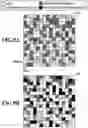 Fig. 10 - Image processing apparatus, image processing method, and storage medium