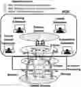 Fig. 01 - COMPLEX ADAPTIVE SYSTEM