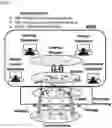 Fig. 02 - COMPLEX ADAPTIVE SYSTEM