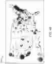 Fig. 49 - Building risk analysis system with geographic risk scoring