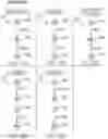 Fig. 24 - Systems and methods for investigating and evaluating financial crime and sanctions-related risks