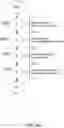 Fig. 10 - APPARATUS, SYSTEM, AND METHOD FOR DETERMINING DEMOGRAPHIC INFORMATION TO FACILITATE MOBILE APPLICATION USER ENGAGEMENT