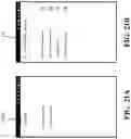 Fig. 23 - Systems and methods for generating and updating dynamic digital tickets within a digital board