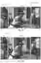 Fig. 07 - Continuous learning for object tracking