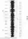Fig. 11 - Matching audio to a state-space model for pseudorandom animation