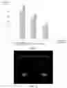 Fig. 07 - Method and apparatus for displaying personalized face of three-dimensional character, device, and storage medium