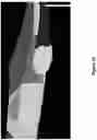Fig. 22 - Damage detection from multi-view visual data
