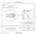 Fig. 08 - Centralized rendering
