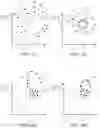 Fig. 06 - System and method for presence detection in an environment to be monitored
