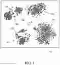 Fig. 12 - System and method for determining and managing socially isolated individuals