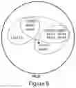 Fig. 09 - PROLACTIN RECEPTOR BINDING PROTEINS AND USES THEREOF