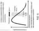 Fig. 10 - Displacement amount detecting apparatus and electronic wind instrument