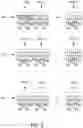 Fig. 04 - Highly parallel and scalable cyclic redundancy check