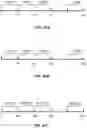 Fig. 49 - Wireless resource selection