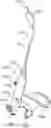 Fig. 01 - Methods and apparatus for treating disorders of the ear nose and throat