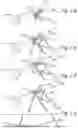 Fig. 04 - Methods and apparatus for treating disorders of the ear nose and throat