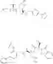 Fig. 79 - BCL-2 inhibitors
