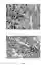 Fig. 08 - Detection and Treatment of Malignant Tumours in the CNS
