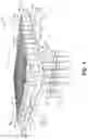 Fig. 02 - Syringe nest assembly