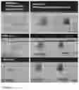 Fig. 02 - Production of graphene structures